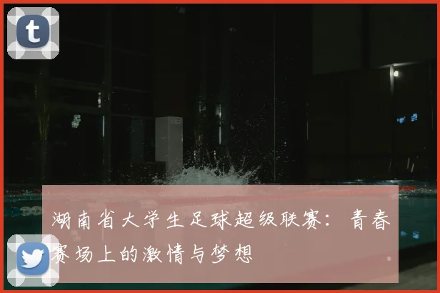 湖南省大学生足球超级联赛：青春赛场上的激情与梦想